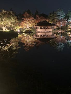 国営昭和記念公園 秋の夜散歩に投稿された画像（2023/11/5）
