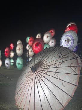 国営昭和記念公園 秋の夜散歩に投稿された画像（2023/11/5）