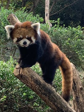 群馬サファリパークに投稿された画像（2023/11/5）