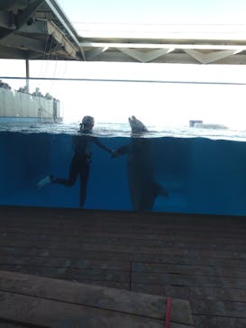 上越市立水族博物館 うみがたりに投稿された画像（2023/11/5）