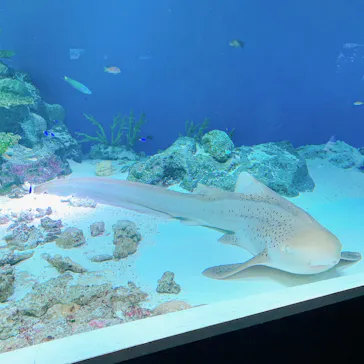 マクセル アクアパーク品川に投稿された画像（2023/11/5）