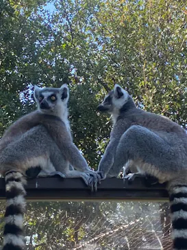 神戸どうぶつ王国に投稿された画像（2023/11/5）