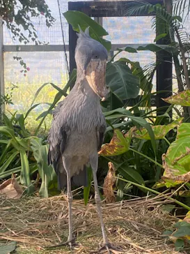 神戸どうぶつ王国に投稿された画像（2023/11/5）