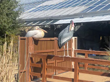 神戸どうぶつ王国に投稿された画像（2023/11/5）