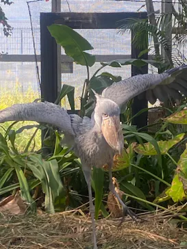 神戸どうぶつ王国に投稿された画像（2023/11/5）