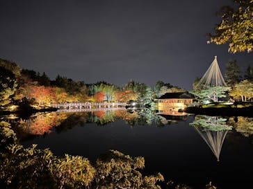 国営昭和記念公園 秋の夜散歩に投稿された画像（2023/11/5）