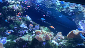 マクセル アクアパーク品川に投稿された画像（2023/11/5）