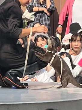 マクセル アクアパーク品川に投稿された画像（2023/11/5）