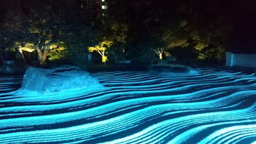 博多ライトアップウォーク実行委員会に投稿された画像（2023/11/5）