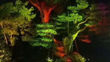 博多ライトアップウォーク実行委員会に投稿された画像（2023/11/5）