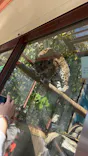 天王寺動物園に投稿された画像（2023/11/5）