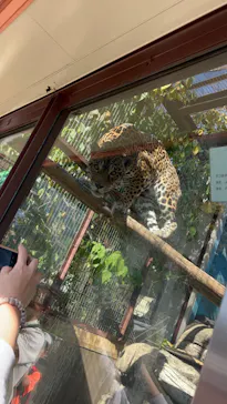 天王寺動物園に投稿された画像（2023/11/5）