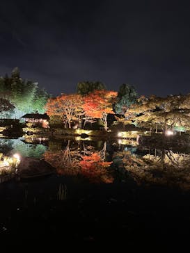 国営昭和記念公園 秋の夜散歩に投稿された画像（2023/11/5）