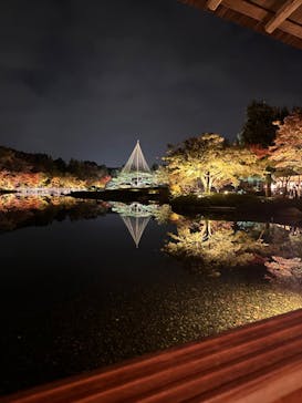 国営昭和記念公園 秋の夜散歩に投稿された画像（2023/11/5）
