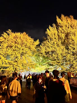 国営昭和記念公園 秋の夜散歩に投稿された画像（2023/11/5）