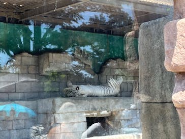 東武動物公園に投稿された画像（2023/11/5）