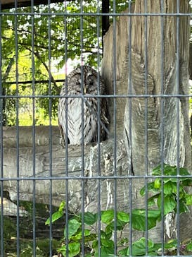 東武動物公園に投稿された画像（2023/11/5）