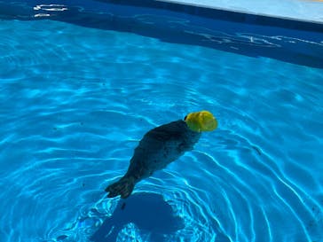 東武動物公園に投稿された画像（2023/11/5）