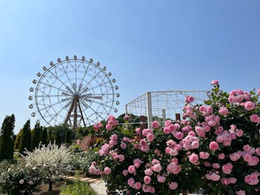 東武動物公園に投稿された画像（2023/11/5）