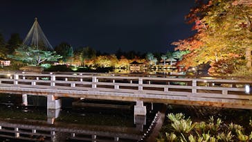 国営昭和記念公園 秋の夜散歩に投稿された画像（2023/11/5）