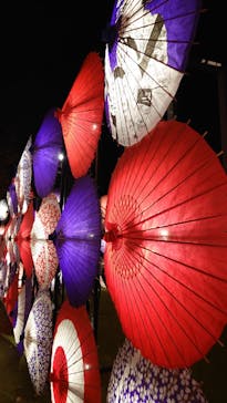 国営昭和記念公園 秋の夜散歩に投稿された画像（2023/11/5）