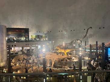 福井県立恐竜博物館に投稿された画像（2023/11/5）