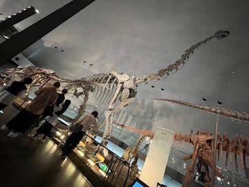 福井県立恐竜博物館に投稿された画像（2023/11/5）