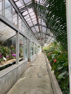 熱川バナナワニ園に投稿された画像（2023/11/5）