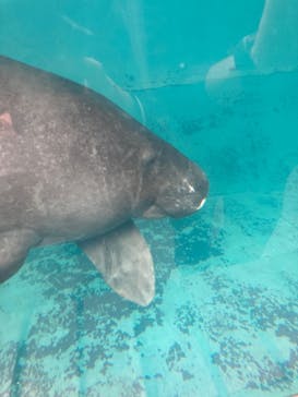 熱川バナナワニ園に投稿された画像（2023/11/5）