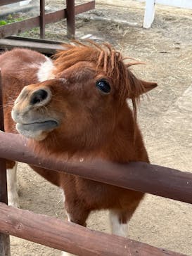 東武動物公園に投稿された画像（2023/11/5）