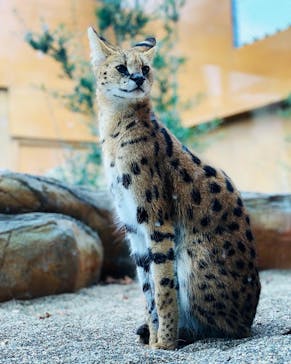 那須どうぶつ王国に投稿された画像（2023/11/5）