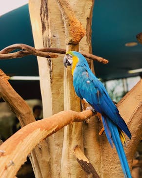 那須どうぶつ王国に投稿された画像（2023/11/5）