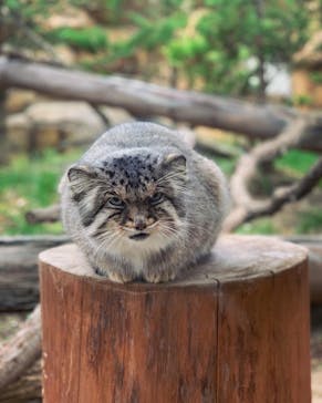 那須どうぶつ王国に投稿された画像（2023/11/5）