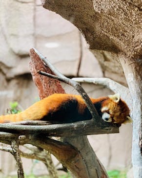 那須どうぶつ王国に投稿された画像（2023/11/5）