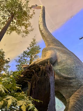 福井県立恐竜博物館に投稿された画像（2023/11/5）