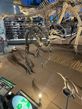 福井県立恐竜博物館に投稿された画像（2023/11/5）