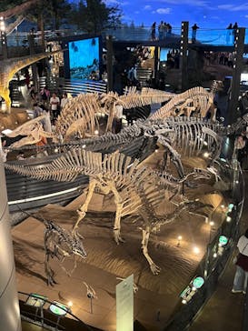 福井県立恐竜博物館に投稿された画像（2023/11/5）