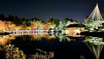 国営昭和記念公園 秋の夜散歩に投稿された画像（2023/11/5）