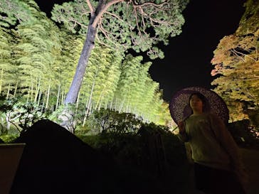 国営昭和記念公園 秋の夜散歩に投稿された画像（2023/11/5）