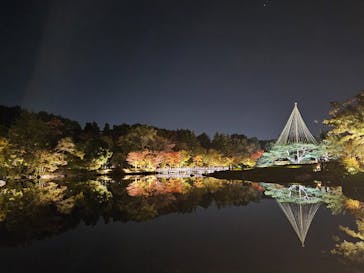 国営昭和記念公園 秋の夜散歩に投稿された画像（2023/11/5）