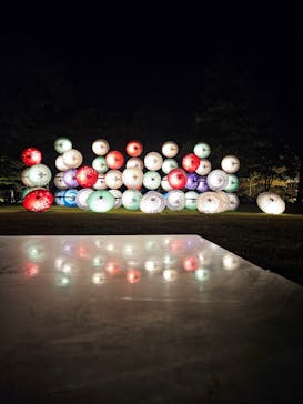 国営昭和記念公園 秋の夜散歩に投稿された画像（2023/11/5）