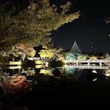 国営昭和記念公園 秋の夜散歩に投稿された画像（2023/11/5）