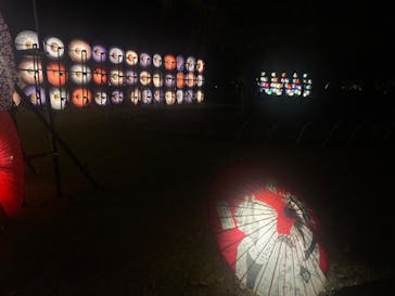 国営昭和記念公園 秋の夜散歩に投稿された画像（2023/11/5）