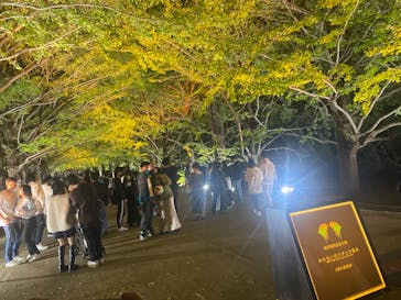 国営昭和記念公園 秋の夜散歩に投稿された画像（2023/11/5）