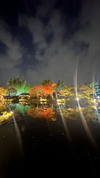 国営昭和記念公園 秋の夜散歩に投稿された画像（2023/11/5）