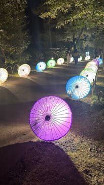 国営昭和記念公園 秋の夜散歩に投稿された画像（2023/11/5）