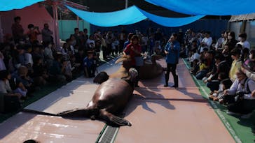 ゼロ距離水族館 伊勢シーパラダイスに投稿された画像（2023/11/5）