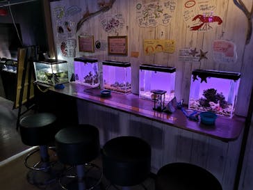 ゼロ距離水族館 伊勢シーパラダイスに投稿された画像（2023/11/5）