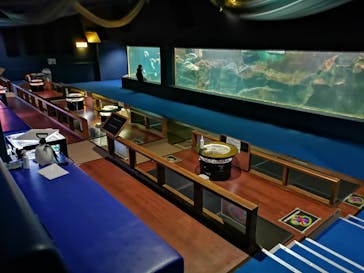 ゼロ距離水族館 伊勢シーパラダイスに投稿された画像（2023/11/5）