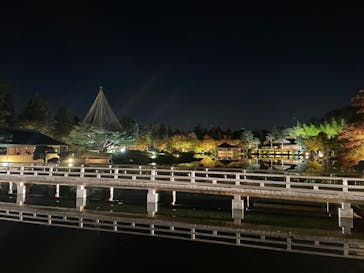 国営昭和記念公園 秋の夜散歩に投稿された画像（2023/11/5）